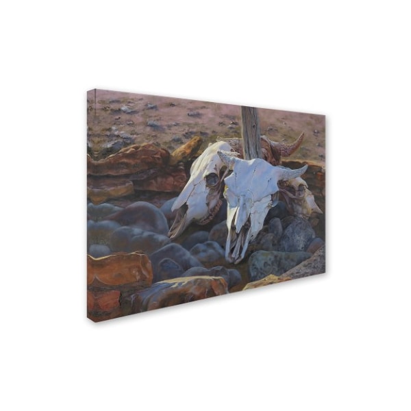 Rusty Frentner 'Where The Buffalo Used To Roam' Canvas Art,18x24